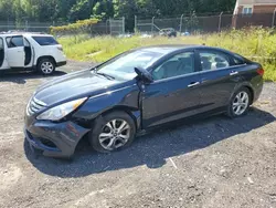 Salvage cars for sale at Baltimore, MD auction: 2013 Hyundai Sonata SE