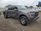 2018 Ford F150 Raptor