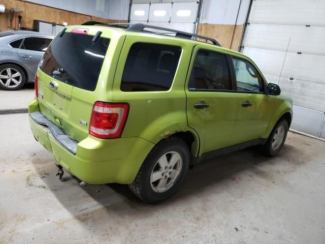 2012 Ford Escape XLT