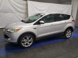 Ford salvage cars for sale: 2013 Ford Escape SEL