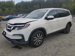 Salvage cars for sale at Waldorf, MD auction: 2019 Honda Pilot EXL