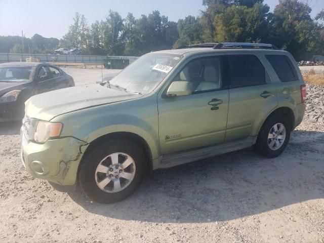 2009 Ford Escape Hybrid