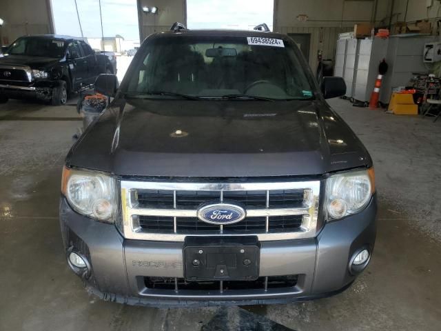 2012 Ford Escape XLT