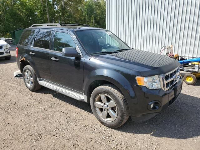 2009 Ford Escape XLT