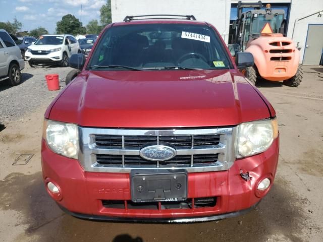 2010 Ford Escape XLT