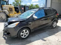 Salvage cars for sale at Franklin, WI auction: 2013 Ford Escape SE