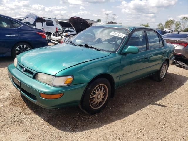 1997 Toyota Corolla DX