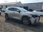 2023 Lexus NX 350