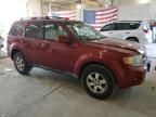 2010 Ford Escape Limited