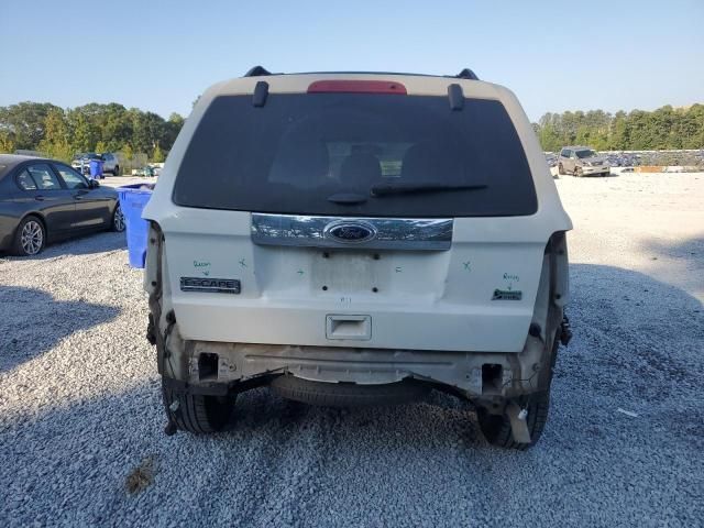 2011 Ford Escape Limited