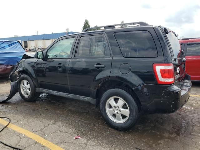 2010 Ford Escape XLT