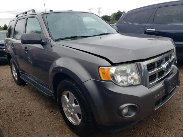 2012 Ford Escape XLT