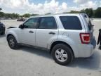 2011 Ford Escape XLS