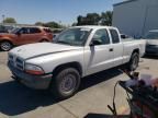 2004 Dodge Dakota SXT