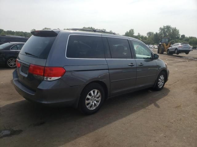 2010 Honda Odyssey EXL