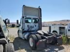 2014 Freightliner Cascadia 113