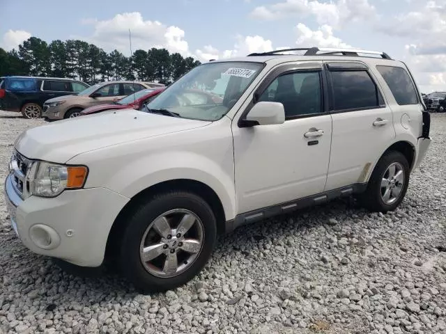 2010 Ford Escape Limited