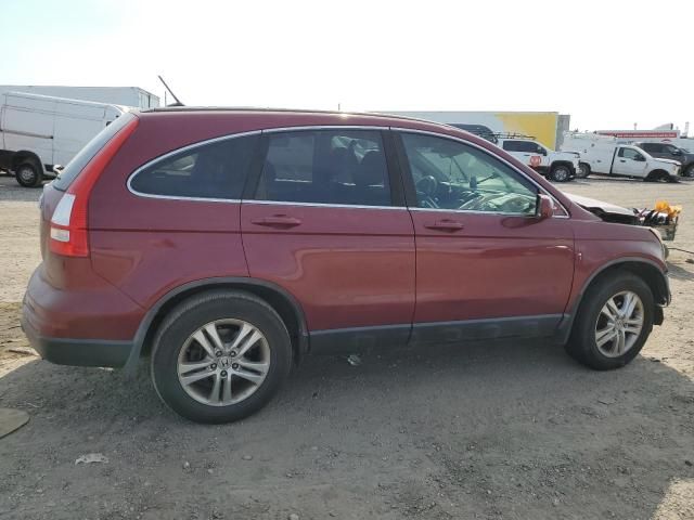 2010 Honda CR-V EXL