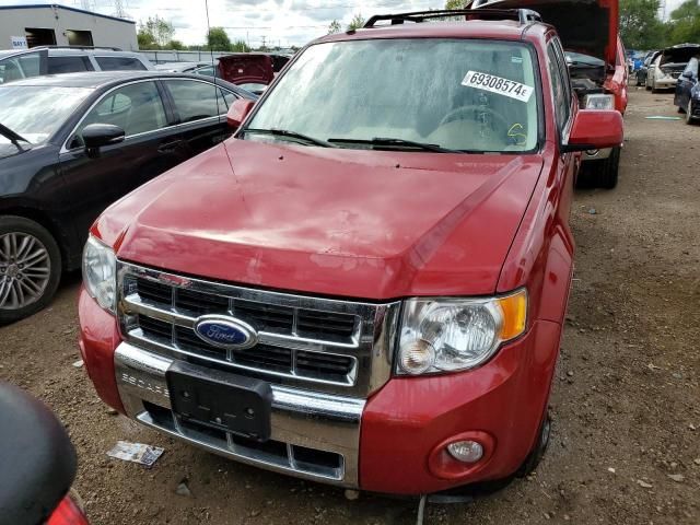 2010 Ford Escape Limited