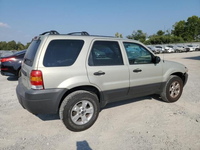 2005 Ford Escape XLT