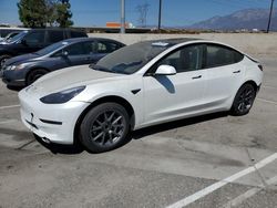 Salvage cars for sale at Rancho Cucamonga, CA auction: 2023 Tesla Model 3