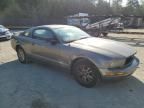 2005 Ford Mustang