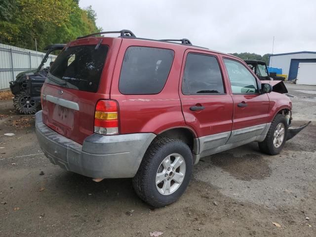 2005 Ford Escape XLT