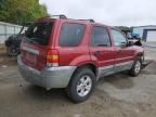 2005 Ford Escape XLT