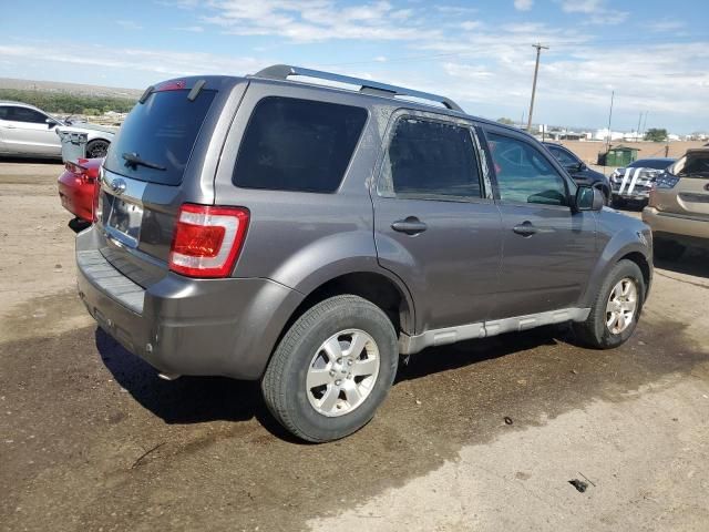 2009 Ford Escape Limited