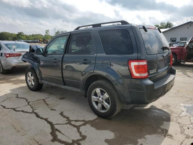 2009 Ford Escape XLT