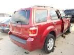 2009 Ford Escape XLS