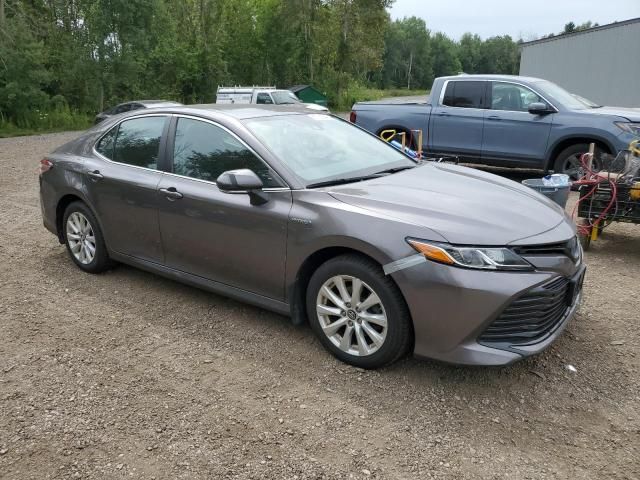 2019 Toyota Camry LE