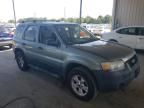 2006 Ford Escape XLT