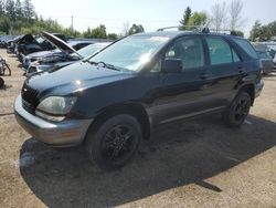 1999 Lexus RX 300 en venta en Bowmanville, ON