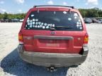 2006 Ford Escape XLT