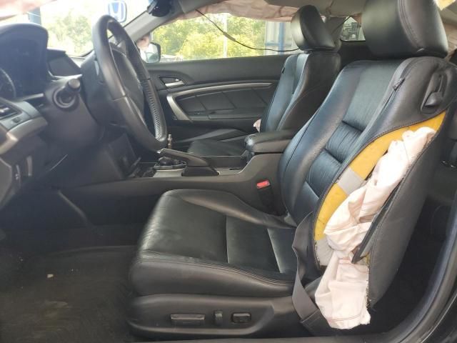 2008 Honda Accord EXL