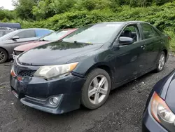 Salvage cars for sale at New Britain, CT auction: 2012 Toyota Camry Base