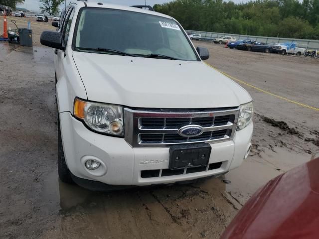 2009 Ford Escape XLT