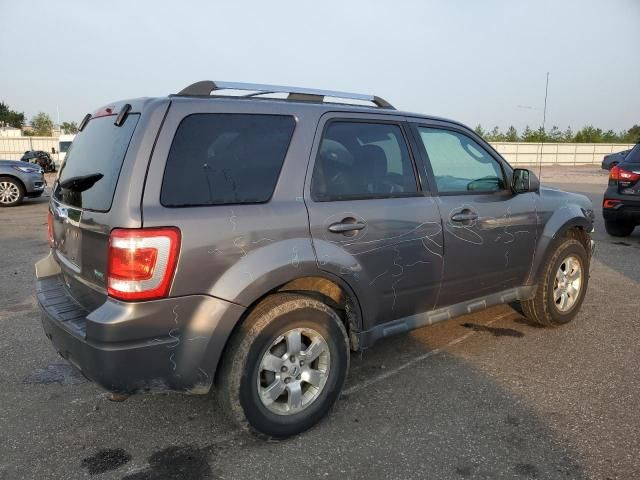 2011 Ford Escape Limited