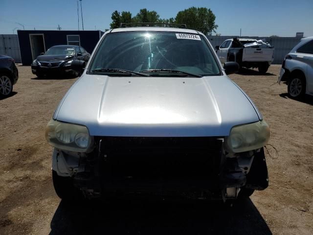 2007 Ford Escape XLT