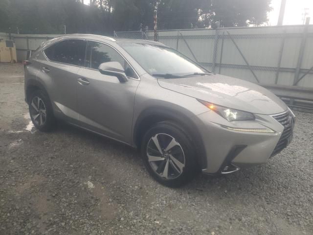 2018 Lexus NX 300H