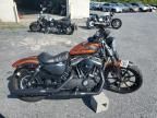 2020 Harley-Davidson XL883 N