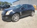 2014 Cadillac SRX Performance Collection