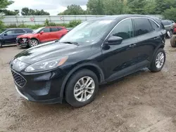 Salvage cars for sale at Davison, MI auction: 2020 Ford Escape SE