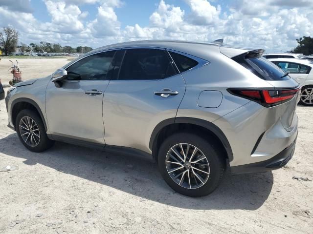 2024 Lexus NX 350H Base