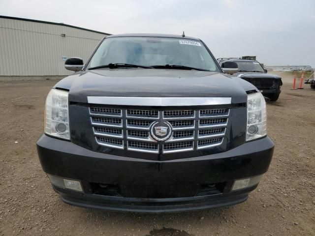 2007 Cadillac Escalade Luxury