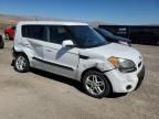 2010 KIA Soul +