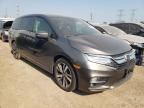 2020 Honda Odyssey Elite