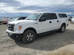 Salvage cars for sale at Helena, MT auction: 2014 Ford F150 Supercrew