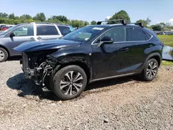 Salvage cars for sale at Hillsborough, NJ auction: 2018 Lexus NX 300 Base